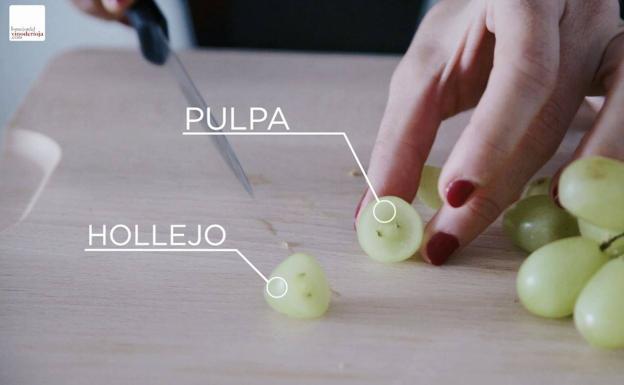 Diseccionamos una uva