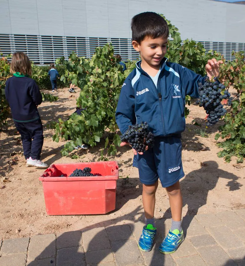 Niños de infantil han acudido a esta actividad en la bodega de Laguardia