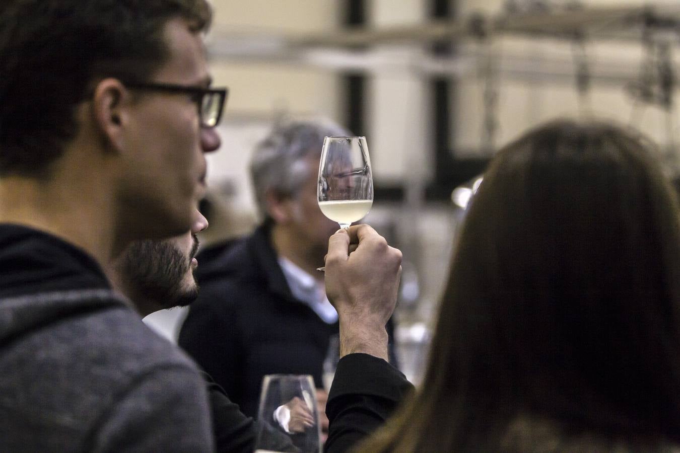 Diecisiete jóvenes de muy diversas procedencias aprenden a elaborar sus primeros vinos en la bodega universitaria del grado de Enología