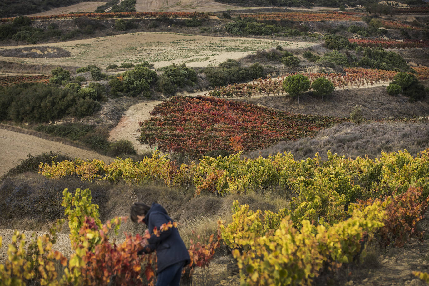 Fotos: El otoño transforma el paisaje de La Rioja