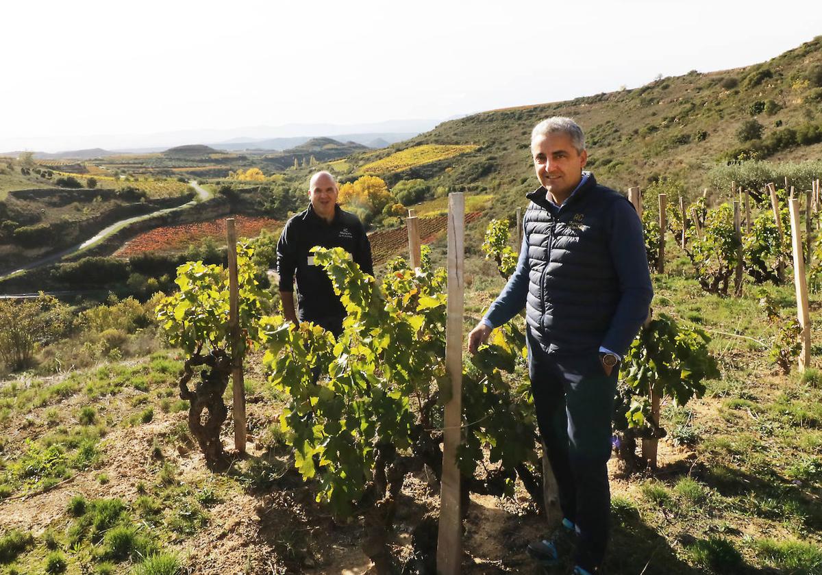 Lo mejor del vino de Rioja