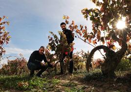 Roberto Vicente y Alfonso Arciniega en El Estudiante, un viñedo recuperado por Bodegas Orben.