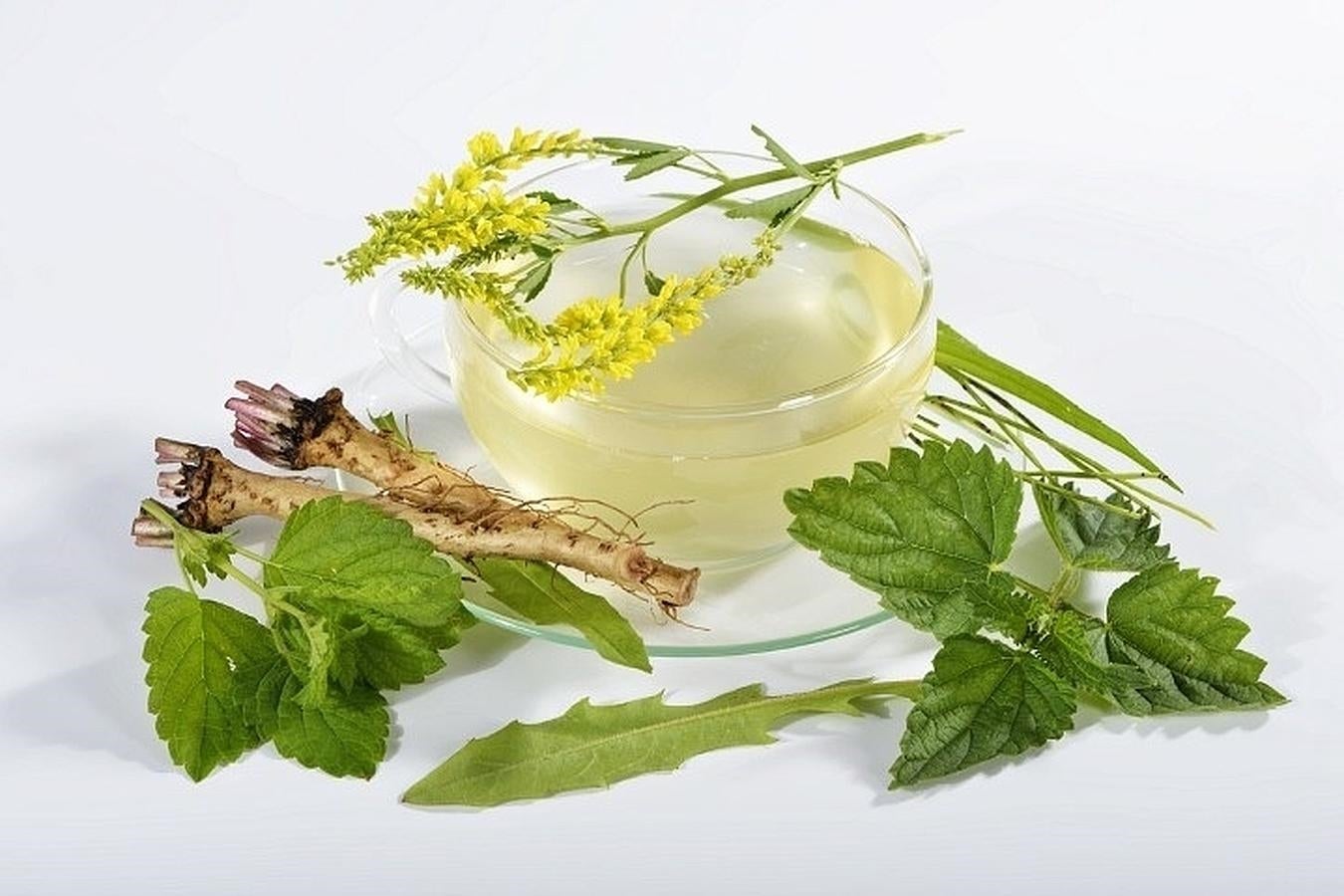 Es una de las infusiones que no deben faltar en un proceso depurativo, pues es uno de los tés menos procesado, lo que hace que contenga más nutrientes. Destaca por sus polifenoles y sus catequinas que ayudan a combatir los radicales libres y reducen el colesterol.