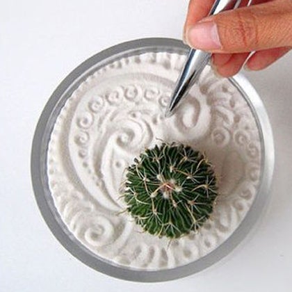 Un cactus es perfecto para decorar tu escritorio, pero aunque parezca necesitar menos cuidados que una planta normal hay que informarse bien de sus necesidades.