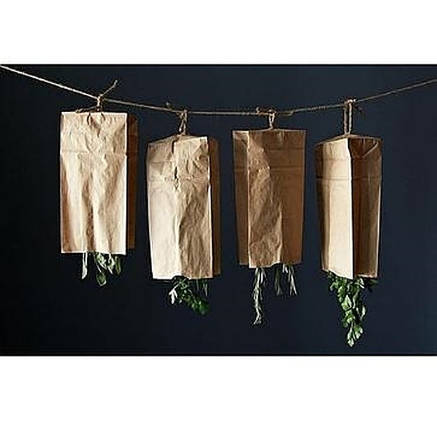 Hierbas aromáticas y especias en proceso de deshidratación