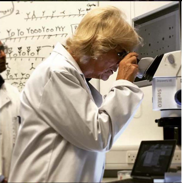 La investigación es una de las grandes aficiones de Camila.