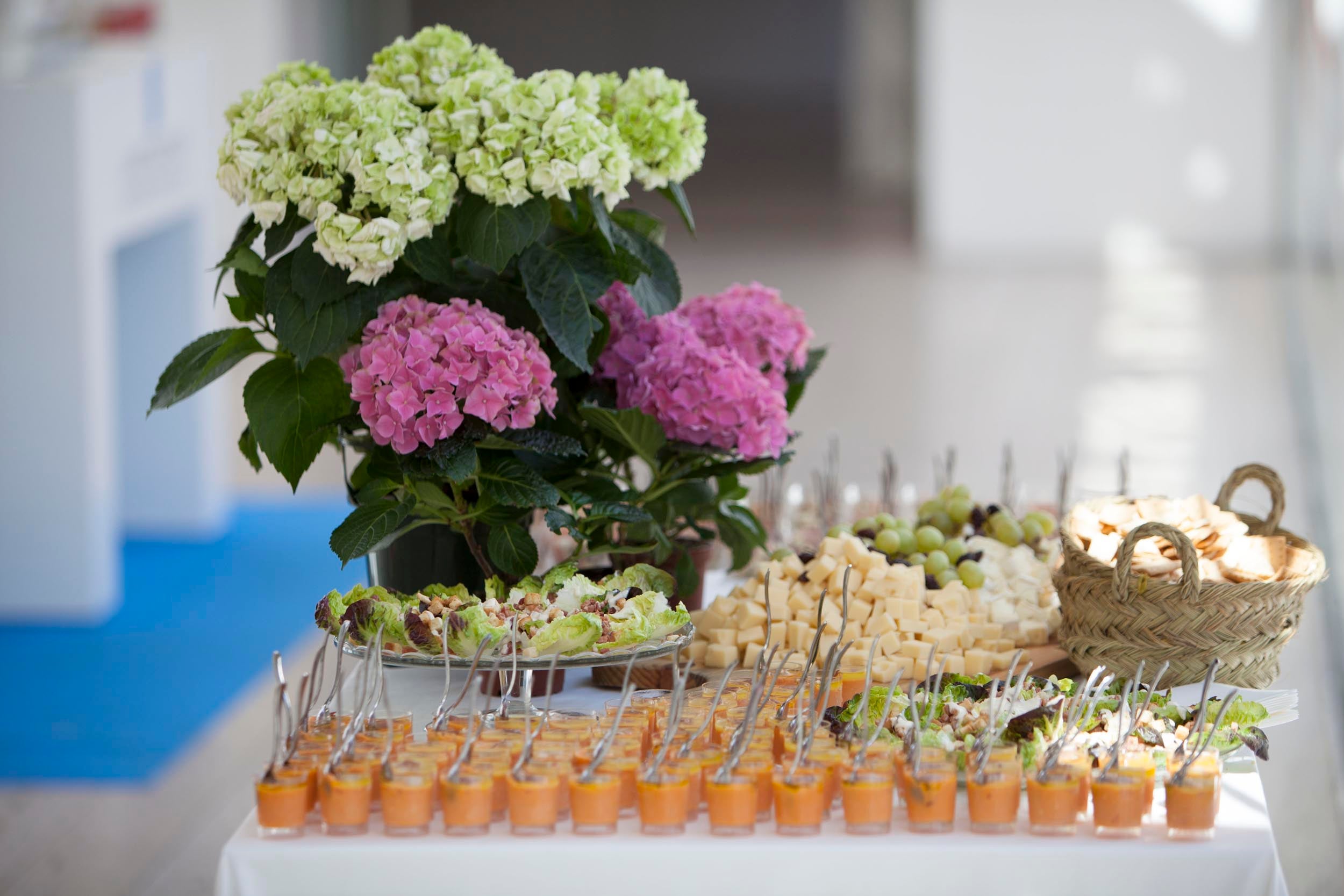 Todos los asistentes pudieron degustar una rica y saludable comida en la cafetería del Museo ABC, elaborada por The Good Food Company: salmorejo, tabla de quesos, ensalada, pollo al curry, fresas...