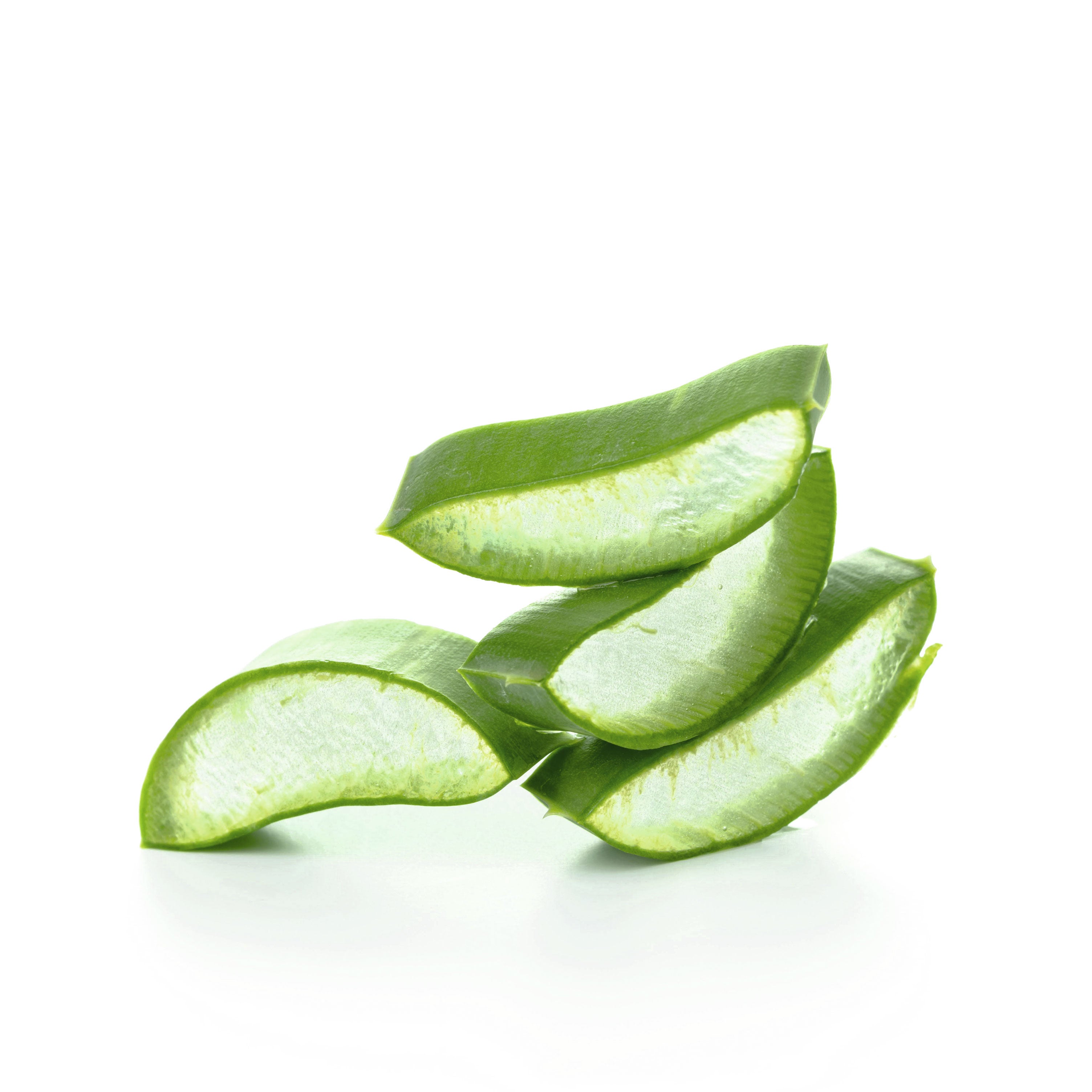 Existen estudios sobre el efecto del jugo de aloe vera puro para atacar la fase incipiente en cáncer de pulmón y páncreas. También es muy beneficioso en los tratamientos de quimioterapia, ya que ayuda a curar las llagas de la boca y a cicatrizar las capas de epidermis de estómago e intestino. Además, su alto contenido en germanio ayuda al sistema inmunológico .