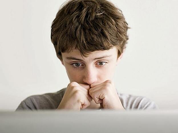 Niño frente a un ordenador