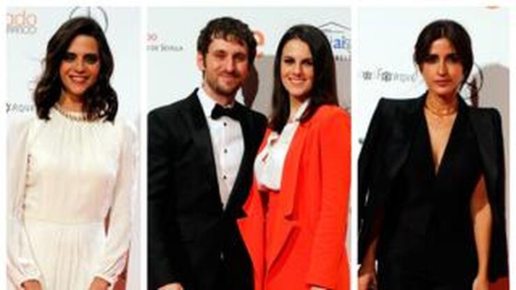 Fotos: La alfombra roja de los Premios Forqué 2017