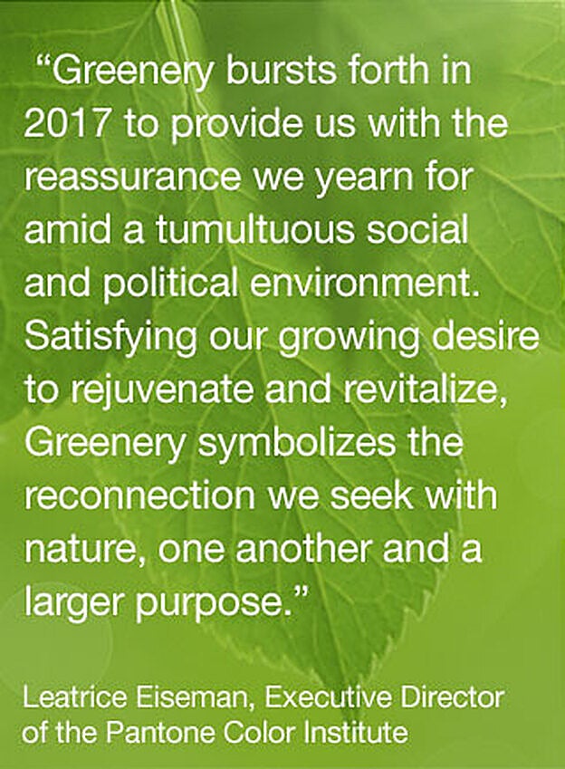"El greenery llega a 2017 para aportarnos esa tranquilidad que anhelamos en medio de un tumultuoso ambiente social y político. Satisfaciendo nuestro creciente deseo de rejuvenecer y revitalizar. La vegetación simboliza la reconexión que buscamos con la naturaleza, y en términos más amplios, con nosotros mismos", Leatrice Eiseman, Directora Ejecutiva de Pantone Color Institute.