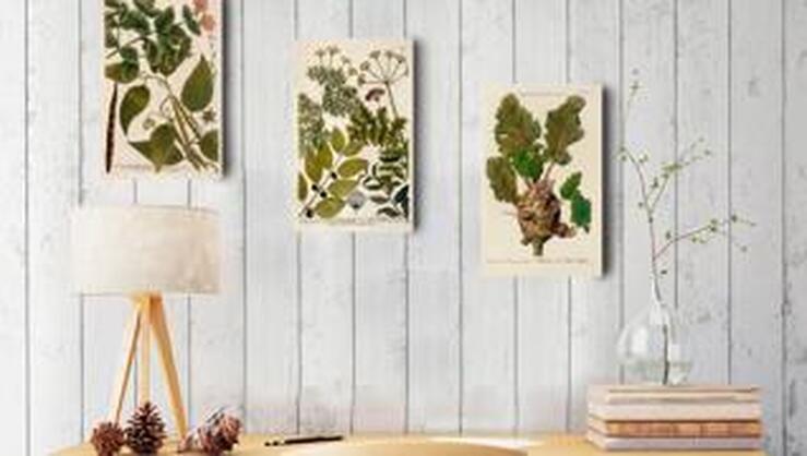 Fotos: 33 Ideas en verde 'greenery' para la decoración de tu casa