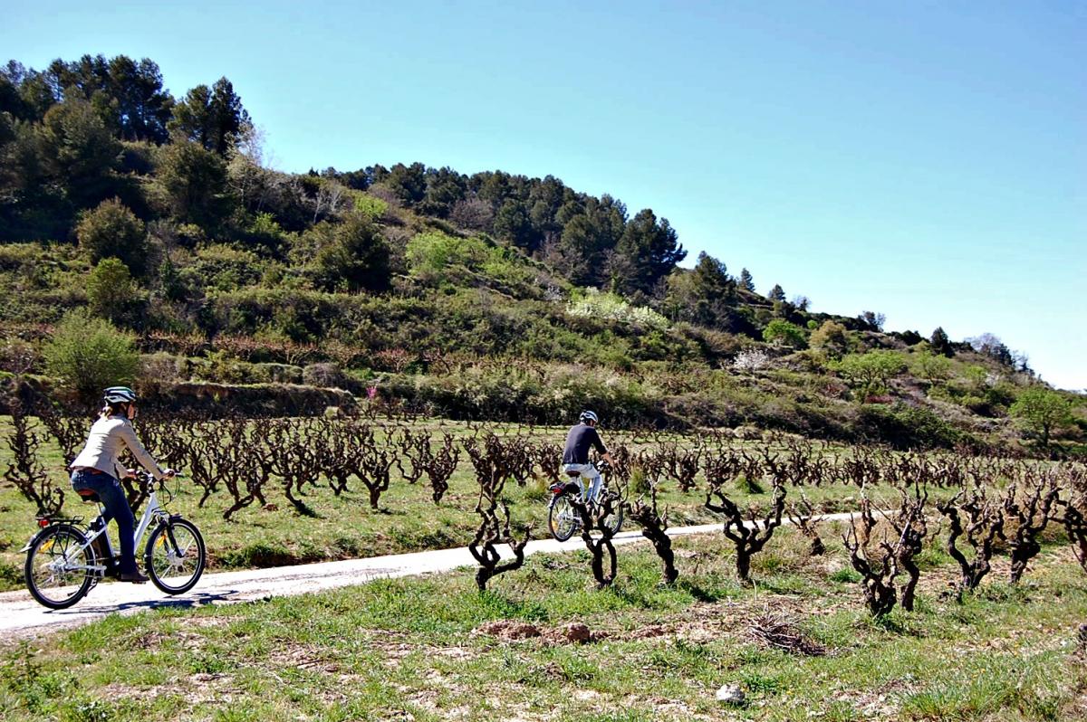 Y hablando de experiencias inolvidables, ¿qué os parece un paseo en bici entre viñedos? Las histórica bodegas Codorniú (que, por cierto, son la empresa familiar más antigua de España) nos proponen pedalear por una ruta que se adentra en los viñedos del Penedés y recorre, entre cepas, el paisaje donde nacen algunos de los cavas Codorníu más especiales. Además, en primavera, se puede observar el lloro de la viña, el momento en el que los viñedos “lloran” un líquido incoloro justo antes de que empiecen a asomar los nuevos brotes. Tras el recorrido, la ruta incluye una visita a las cavas modernistas, una degustación de espumosos y un picnic entre viñas. Irresistible, ¿no?