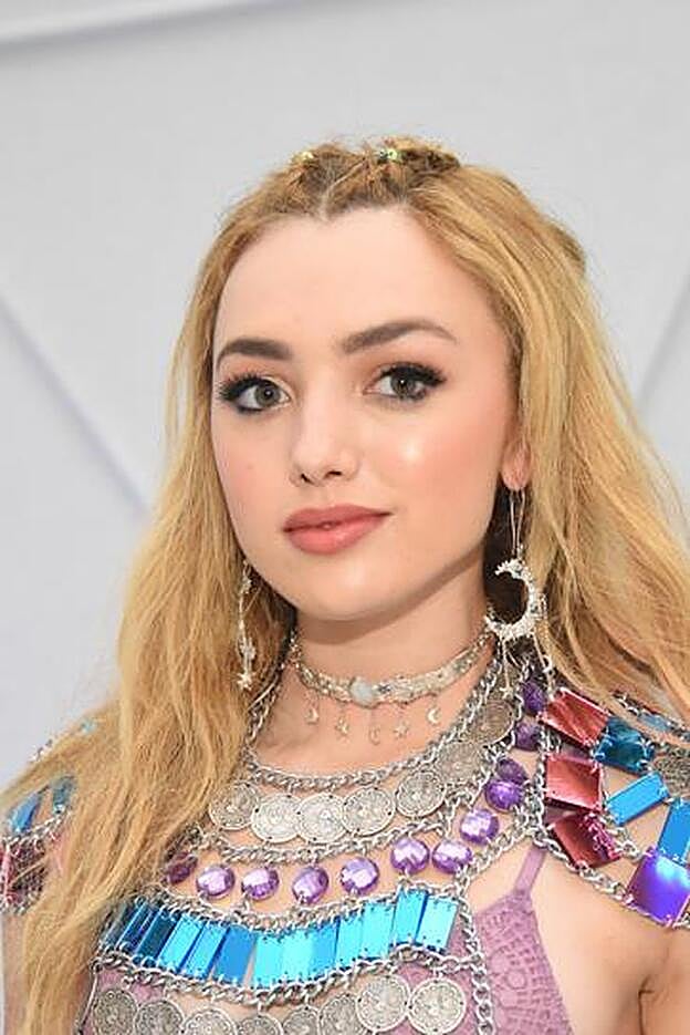 Dos trenzas pequeñas de raiz con el pelo suelto.