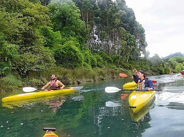 Kayak en la ría.