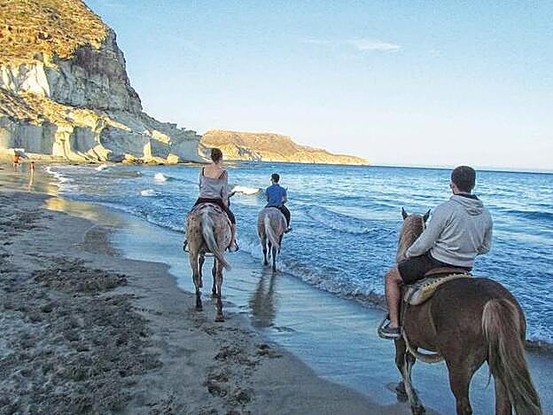 Monturas para todas las edades.