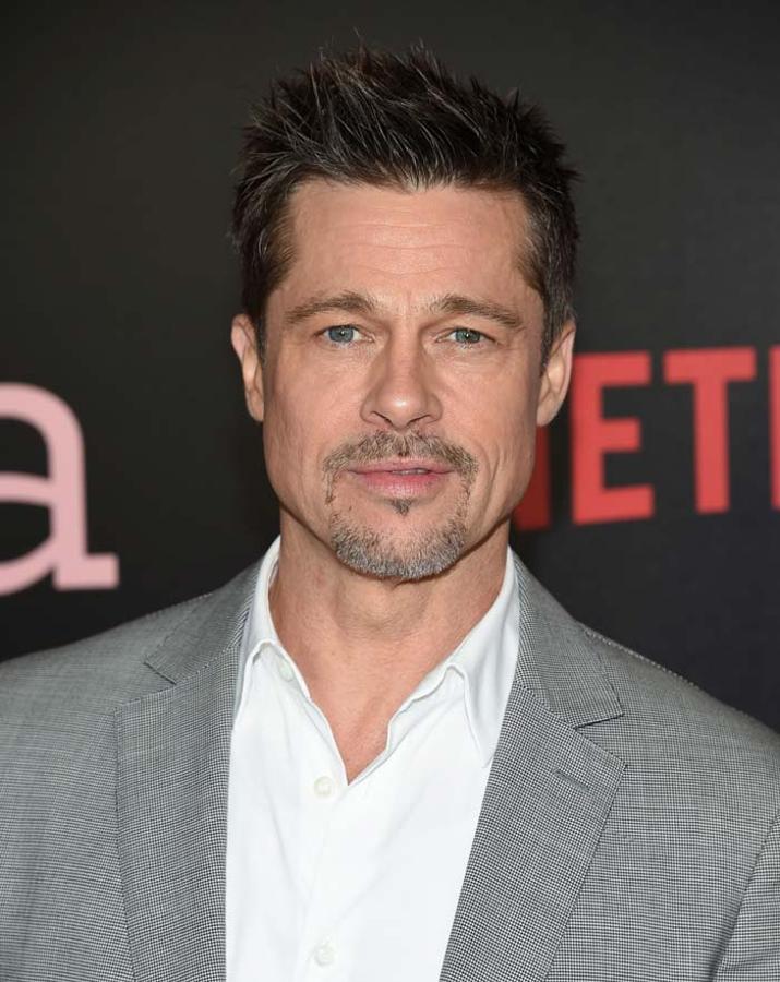 El actor confesó en una entrevista a GQ Style que el abuso de las bebidas alcoholicas había acabado con su matrimonio. Consciente del problema, Pitt confesó llevar meses sin probar ni una gota de alcohol y confesaba estar en tratamiento.