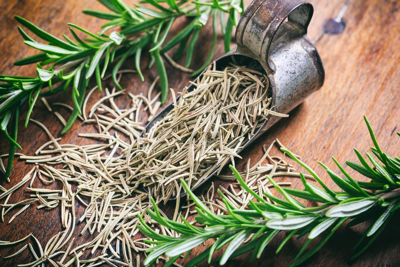 El romero contiene 28,9 miligramos de hierro por cada 100 gramos de porción comestible.