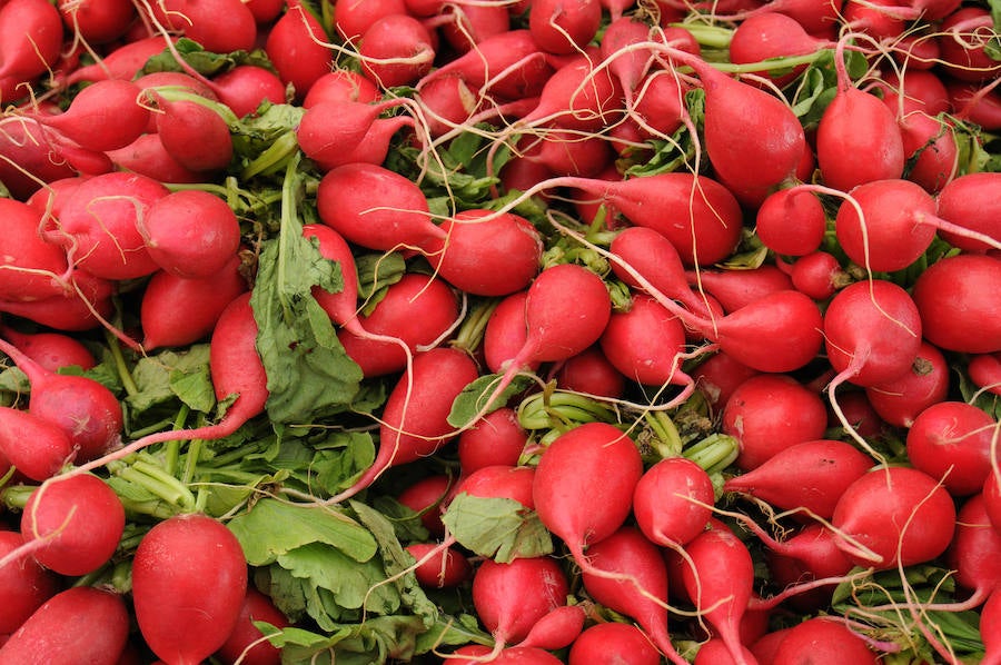 Las coles, coliflores, remolachas, rábanos y berros manifiestan acciones antibióticas, antitusivas y mucolíticas, según revela la nutricionista Alba Sanz, quien comenta que en casos de bronquitis, sinusitis o laringitis se pueden consumir en sopas o concentrados.