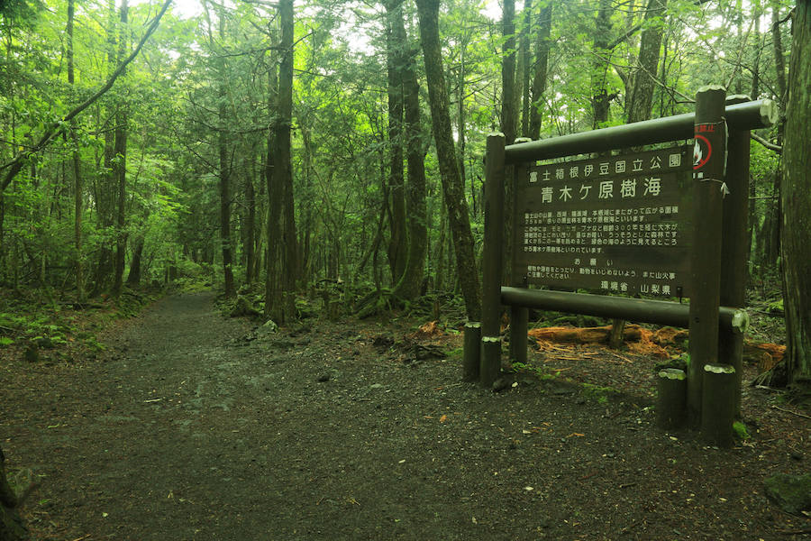 Bosque Aokigahara, en Japón. A las faldas del majestuoso Monte Fuji, podrás encontrar el bosque Aokigahara, mejor conocido como El bosque del suicidio que, en 1960, la novela de Kuroi Jukai popularizó como uno de los destinos preferidos para los suicidas, con una historia muy al estilo de Romeo y Julieta, donde una pareja decide quitarse la vida en él. Personas que han visitado el bosque afirman que la vibra que se siente es muy extraña y el ambiente conformado por espesa vegetación, escasa fauna silvestre, cavernas heladas y la falta de civilización ayudan a conformar esta atmosfera lúgubre, ideal para historias de terror.