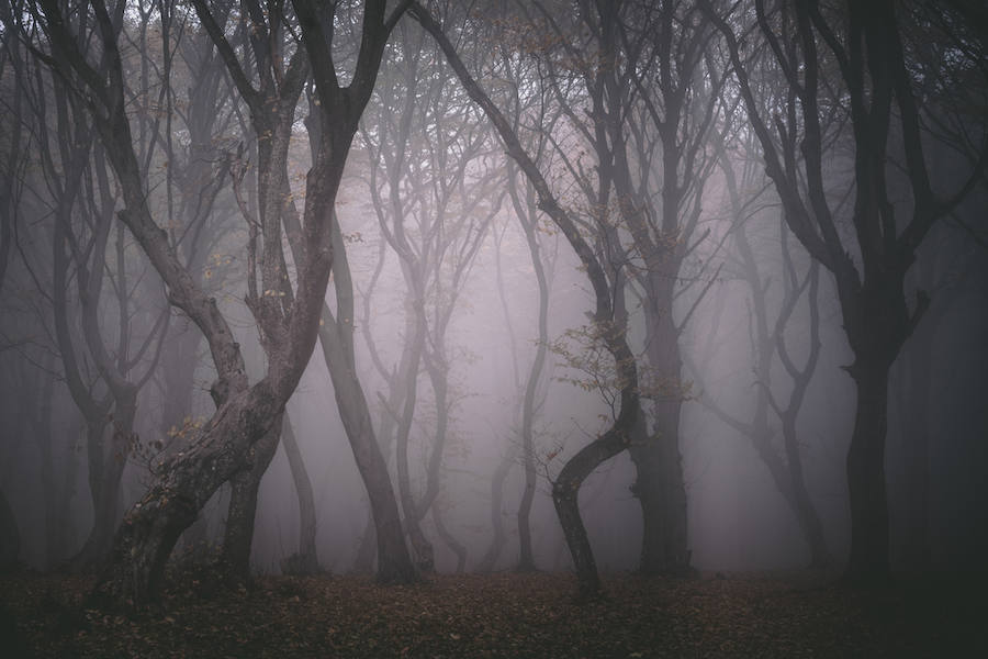 Además de conocidos vampiros como Drácula, en el corazón de Transilvania también hay un misterioso bosque. En Hoia-Baciu hay personas que dicen haber avistado Ovnis, visto sombras tenebrosas, o sufrido raras quemaduras. Si a eso le sumamos misteriosas desapariciones el resultado es uno de los lugares más aterradores de Europa. Por algo se le conoce como “El triángulo de las Bermudas de Transilvania”.