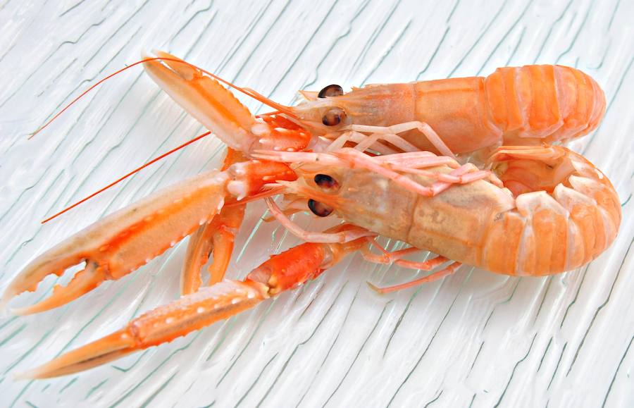 Las cigalas aportan 220 miligramos de calcio por cada 100 gramos de porción comestible del alimento.