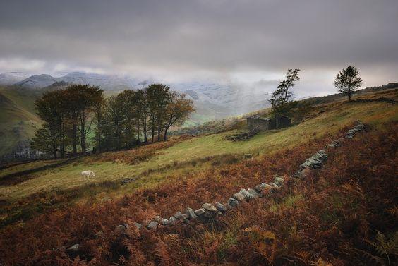 Si lo que quieres es apagar el móvil, desconectarte del mundo y dejarte llevar por el silencio y el olor de la naturaleza, el Valle Pasiego del Miera, en Cantabria, es el lugar perfecto. (Foto: Pinterest)