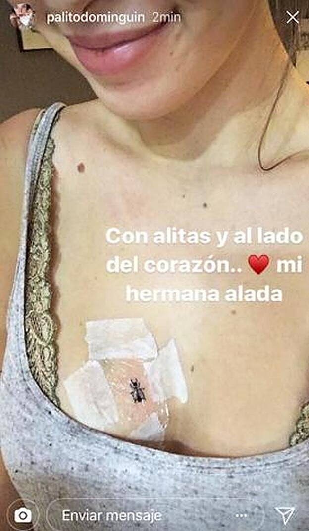Palito Dominguín comparte su tatuaje en Stories.