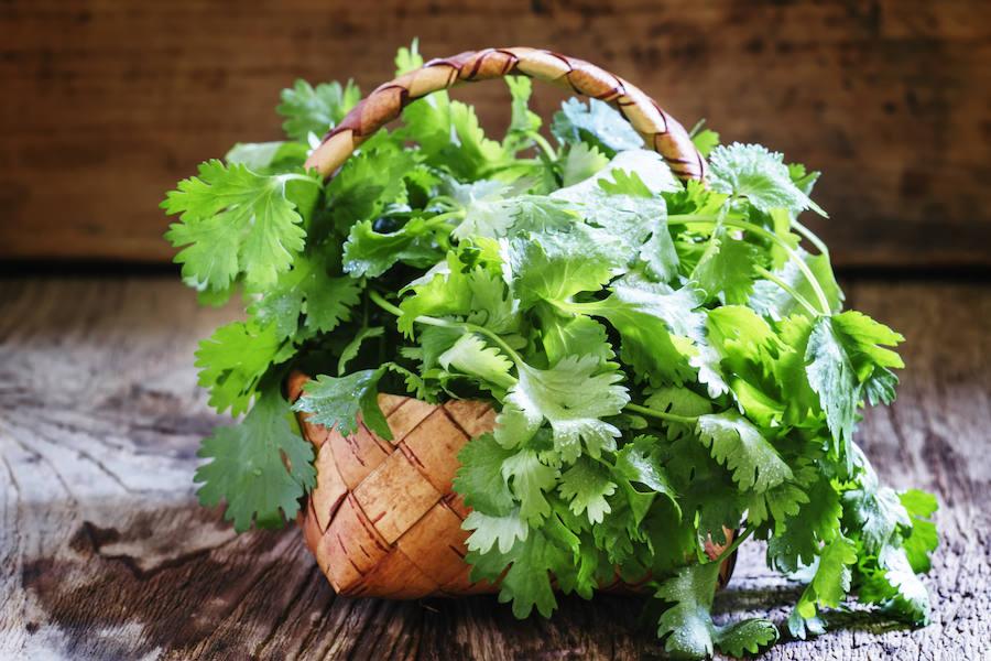 El cilantro ayuda a controlar los niveles de azúcar en sangre, contiene propiedades antibióticas y baja los niveles de colesterol malo en sangre. Puedes añadirlo a salsas, ensaladas y sopas o incluirlo en un zumo verde o detox.