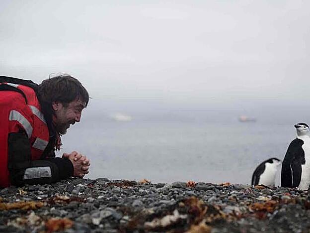 Javier Bardem, cara a cara con los pingüinos en el Antártico.
