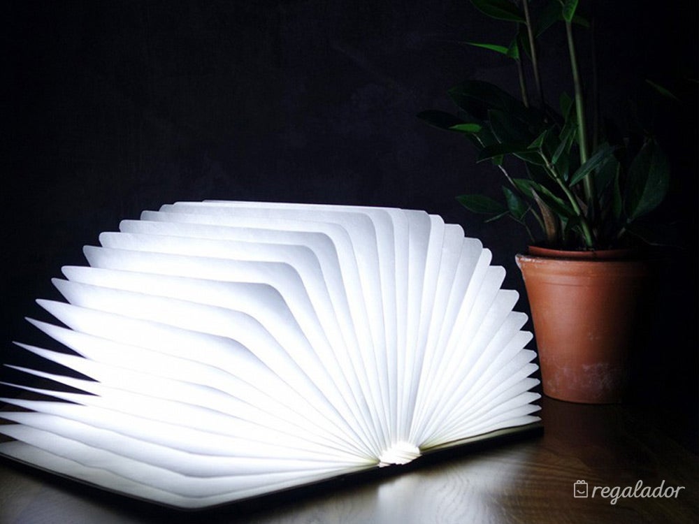 Si le encanta la lectura, esta lámpara con forma de libro le va a hacer mucho más que ilusión. ¡Este San Valentín vas a arrasar!