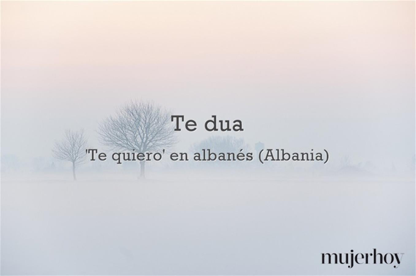 Cómo se dice 'te quiero' en albanés