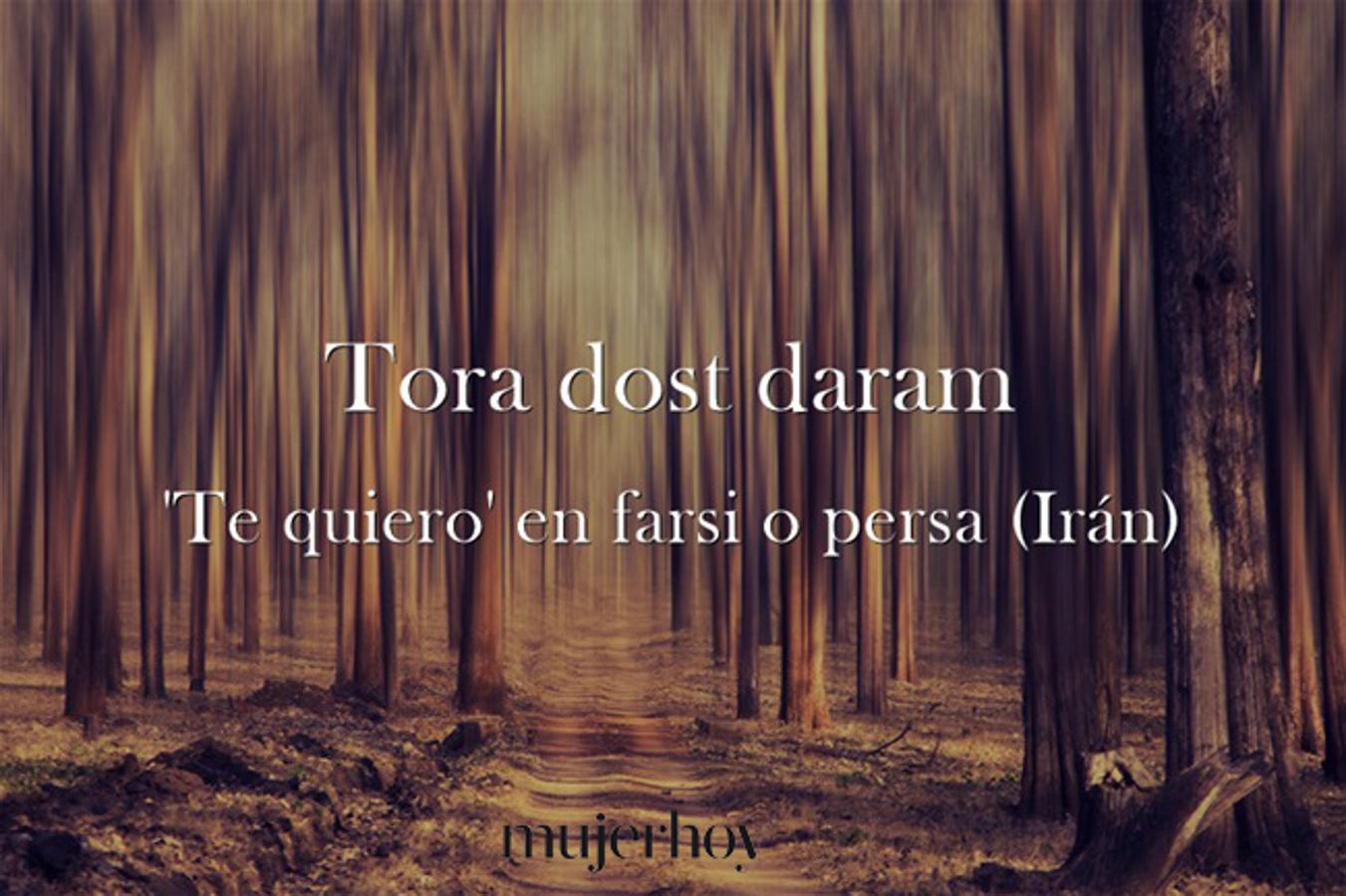 Cómo se dice 'te quiero' en persa