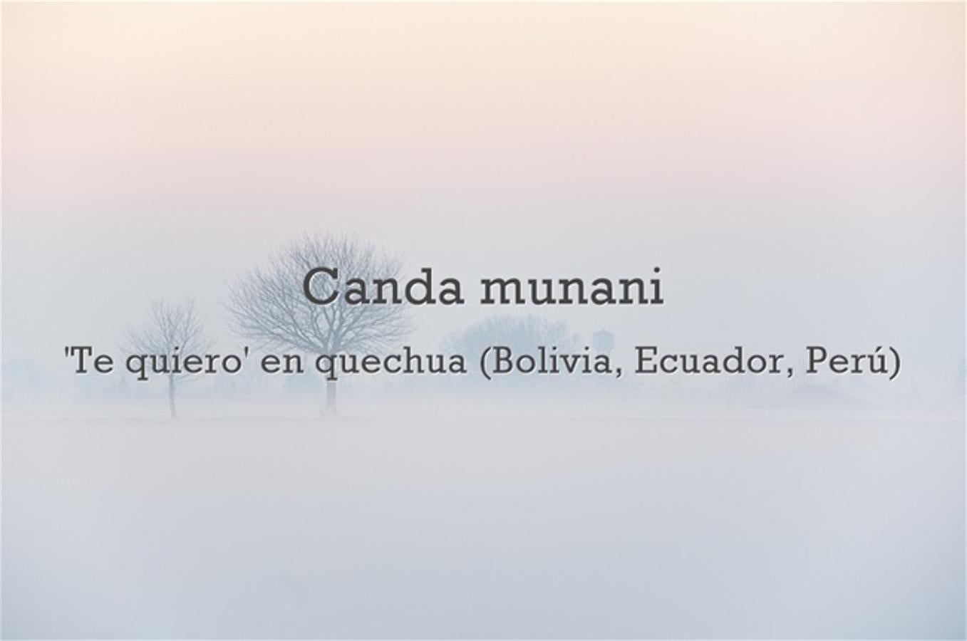 Cómo se dice 'te quiero' en quechua