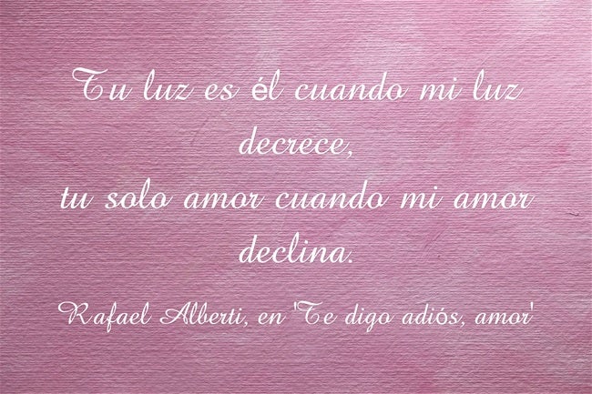 Tu luz es él cuando mi luz decrece, tu solo amor cuando mi amor declina", de Rafael Alberti, en 'Te digo adiós, amor'
