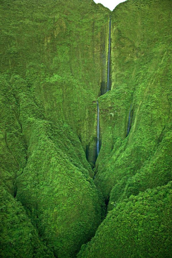 Si nunca has estado en Maui, pero estas impresionantes cascadas de 487 metros te resultan familiares, no andas desencaminada, porque seguro que las has visto en la película 'Parque Jurásico'.