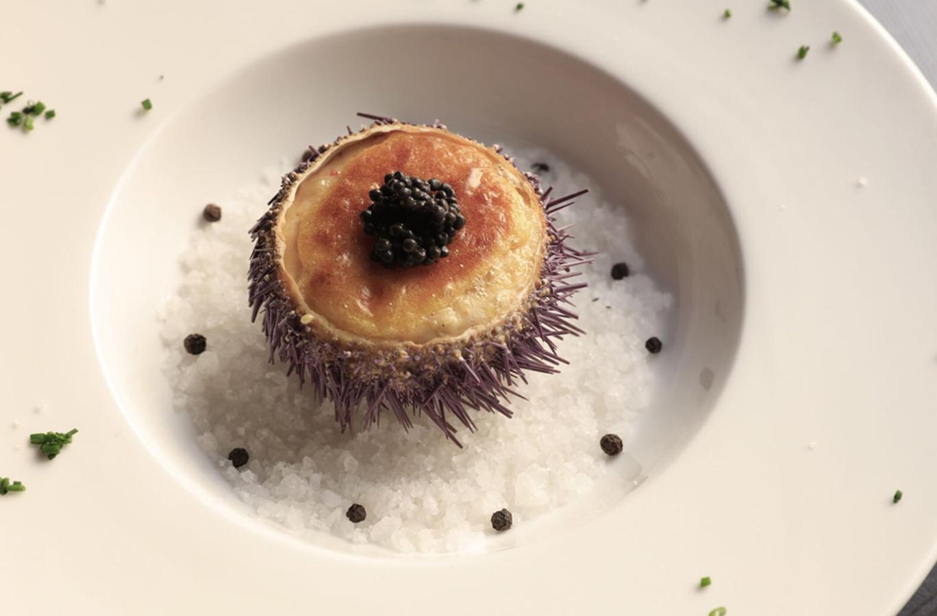 Una de las propuestas más audaces de la casa