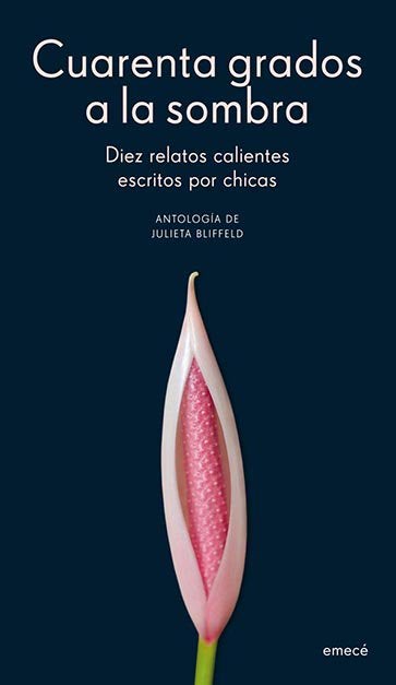 Diez relatos calientes escritos por chicas, de Julieta Bliffeld.