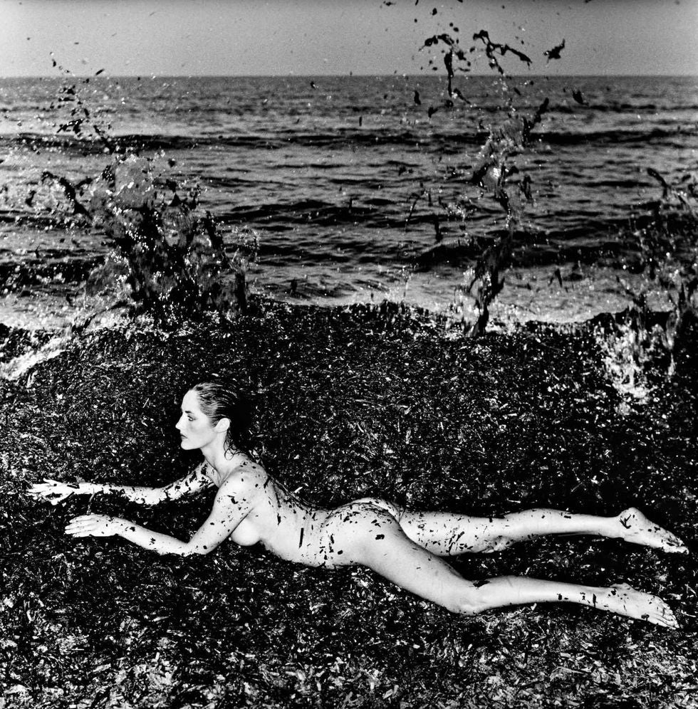 El maestro del desnudo tomó esta fotografía, “Nude in Seaweed” (“Desnudo entre algas”), en Saint Tropez. Se trata de la primera de una serie de diez, datada en 1981. Su valor estimado en subasta podria llegar a los 30.000 dólares. De Helmut Newton.