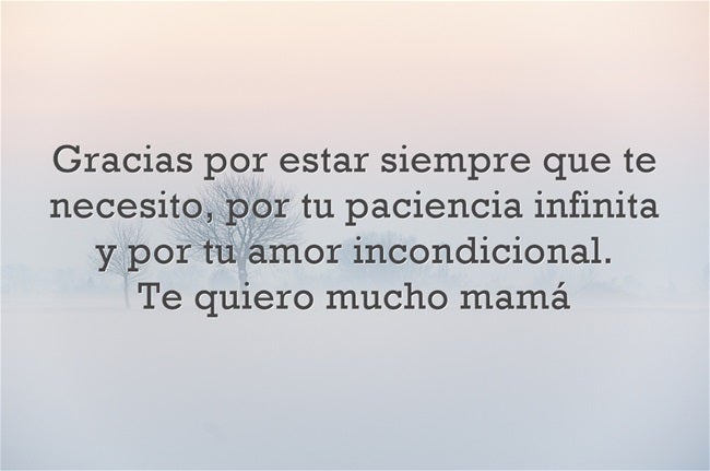Gracias por estar siempre que te necesito, por tu paciencia infinita y por tu amor incondicional. Te quiero mucho mamá