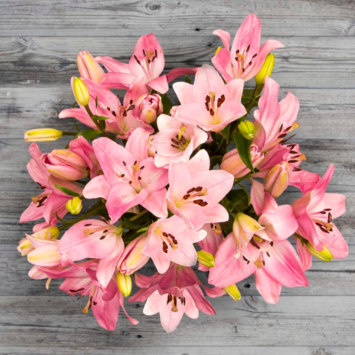 Son flores con un aroma intenso, perfectas para madres que fascinan con su energía y su personalidad.