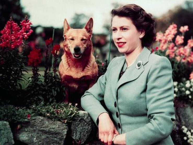 Fotos: La gran historia de amor de Isabel II con sus 'corgies'
