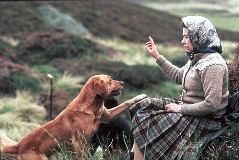 La relación de la Reina con sus perros ha sido desde siempre extremadamente importante. De hecho, queda reflejado en “The Crown”, la serie que lleva a la televisión su biografía: Isabel II se refugia en su familia de 'corgies' cuando está preocupada y se encarga siempre que puede de alimentarles y pasearles. Además, en su retiro en Norfolk, Sandringham, le esperan sus Labradores y Spaniels, a los que ha adiestrado personalmente. Esta relación tan especial con sus perros no es nada nueva en la Familia Real británica: en el website “A History of Royal Dogs” aparecen todos los canes de la familia desde Dahs, el Cavalier King Charles Spaniel de la reina Victoria.