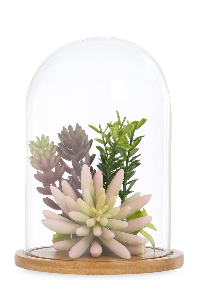 Florero con forma de cúpula de cristal: ¡Más plantas! No será una rosa como la de la ‘Bella y la Bestia’, pero pueden ser tus plantas más especiales y secretas.