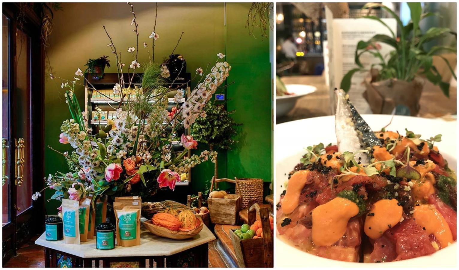 Comida 'ecofriendly' y sostenible con una filosofía "donde todos los sentidos están en alerta". Bump Green está en la Calle Velázquez, 11, de Madrid.