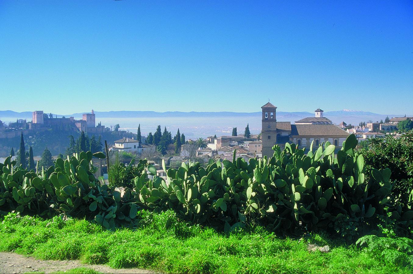 Que Granada es una de las ciudades más bonitas de España no es noticia. Como tampoco lo es que a los pies de La Alhambra puedes comer gratis pidiendo unas cervezas bien fresquitas. Cuando recorras sus calles, busca la fritura de Los Diamantes, las tapas fusión del Babel, las tostas de La Pajuana, las patatas alioli del maravilloso Kiosko Las Titas, o las raciones XXL (gratis y contundentes) del Brasilia.