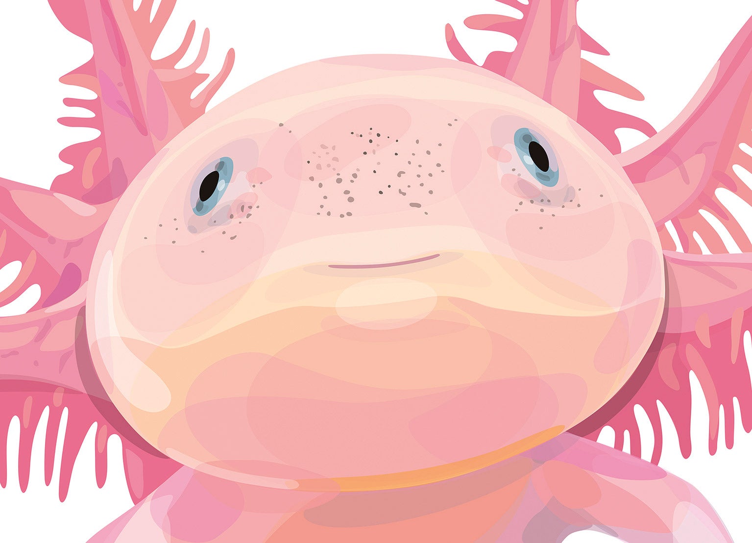 "Ojalá a todos nos resultara tan fácil como a este Axolotl, un exótico anfibio mexicano, adaptarnos a las dificultades; ojalá pudiéramos autorregenerarnos". Ruth Gómez es artista. Criaturas. Procesos regenerativos, a la que pertenece la imagen inferior, fue su última exposición.