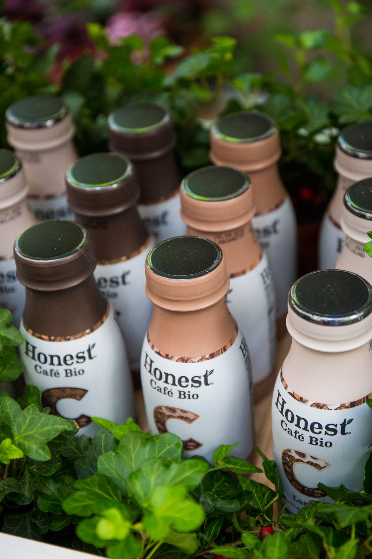 Así es el nuevo café 100% ecológico de Honest. Nuestras lectoras lo disfrutaron en el espacio #modohonest junto a su gama de té.