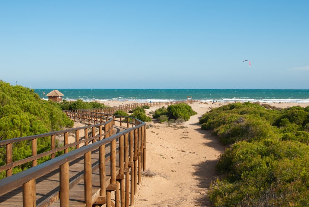 Este es una de las bonitas pasarelas de madera que llegan hasta la playa de Arenas del Sol, en Elche. Tus vacaciones de verano en esta playa de arena dorada serán fantásticas, además el ambiente está asegurado.
