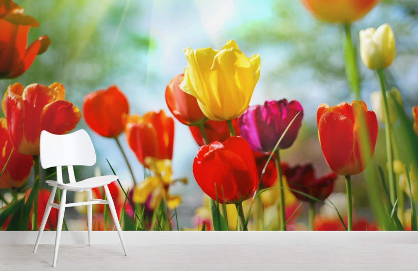 Un campo de tulipanes y una explosión de color. ¿Te atreves con este maravilloso papel pintado?